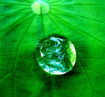 1561624297132167.png 1530259257408908.png